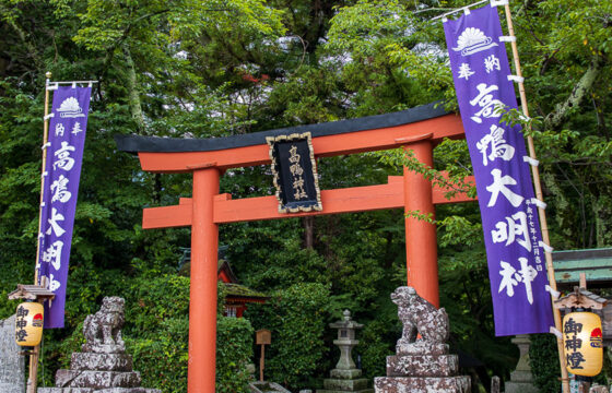 高鴨神社大鳥居と高鴨大明神と記された紫色のぼり