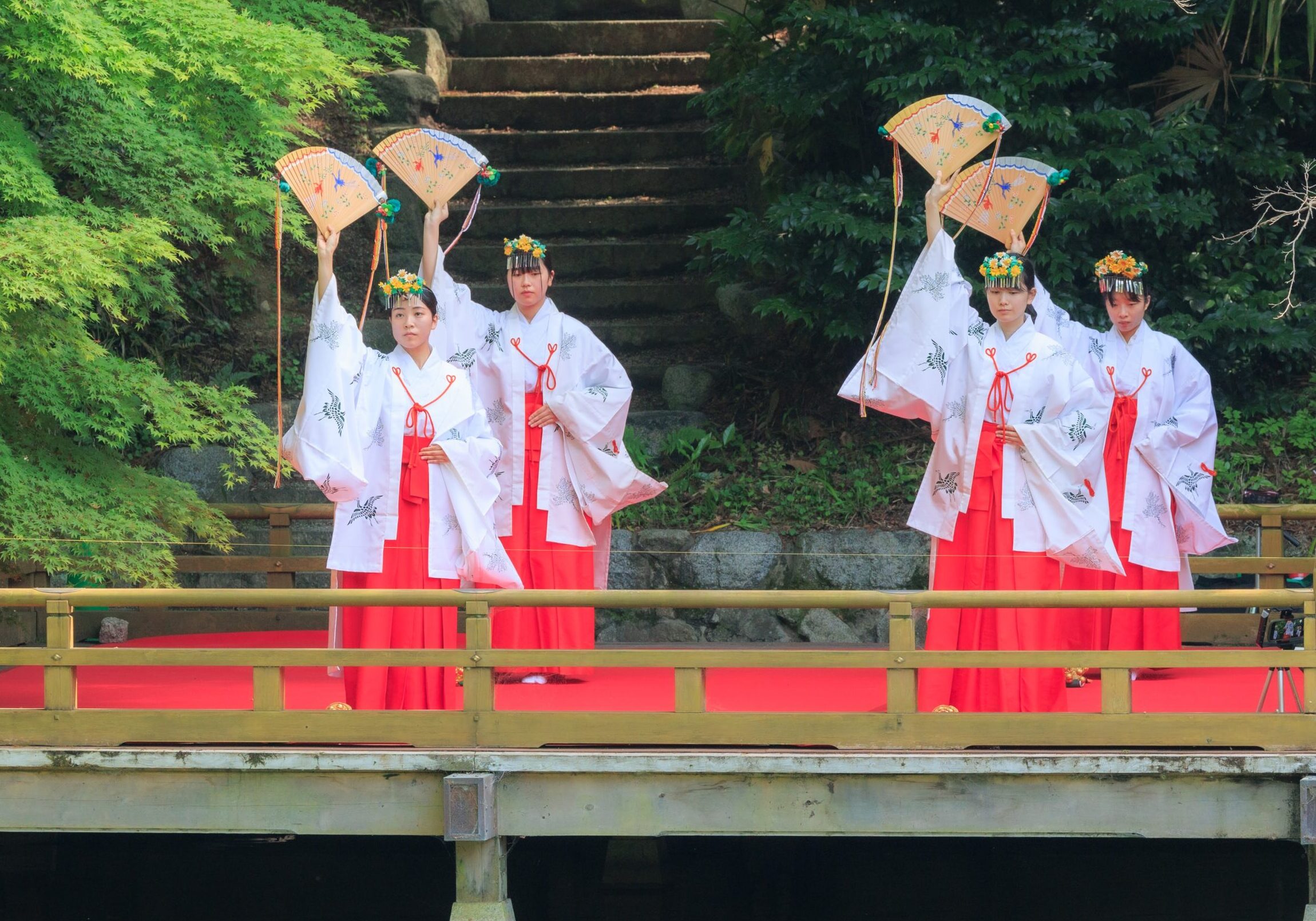 高鴨神社巫女による池舞台での献花祭で舞い